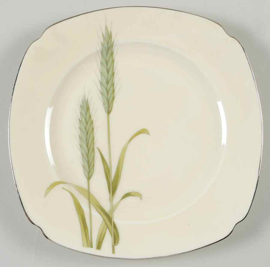 Harvest Square Salad Plate by Epiag-1