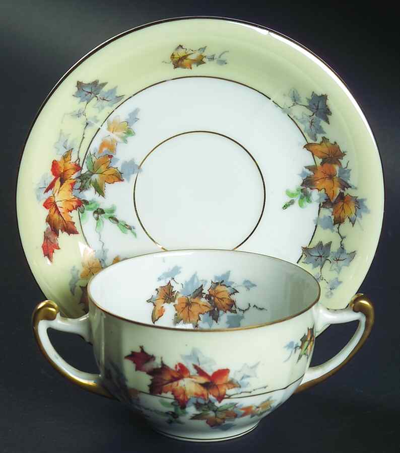 Silver Maple (Gold) Flat Bouillon Cup & Saucer by Epiag-1
