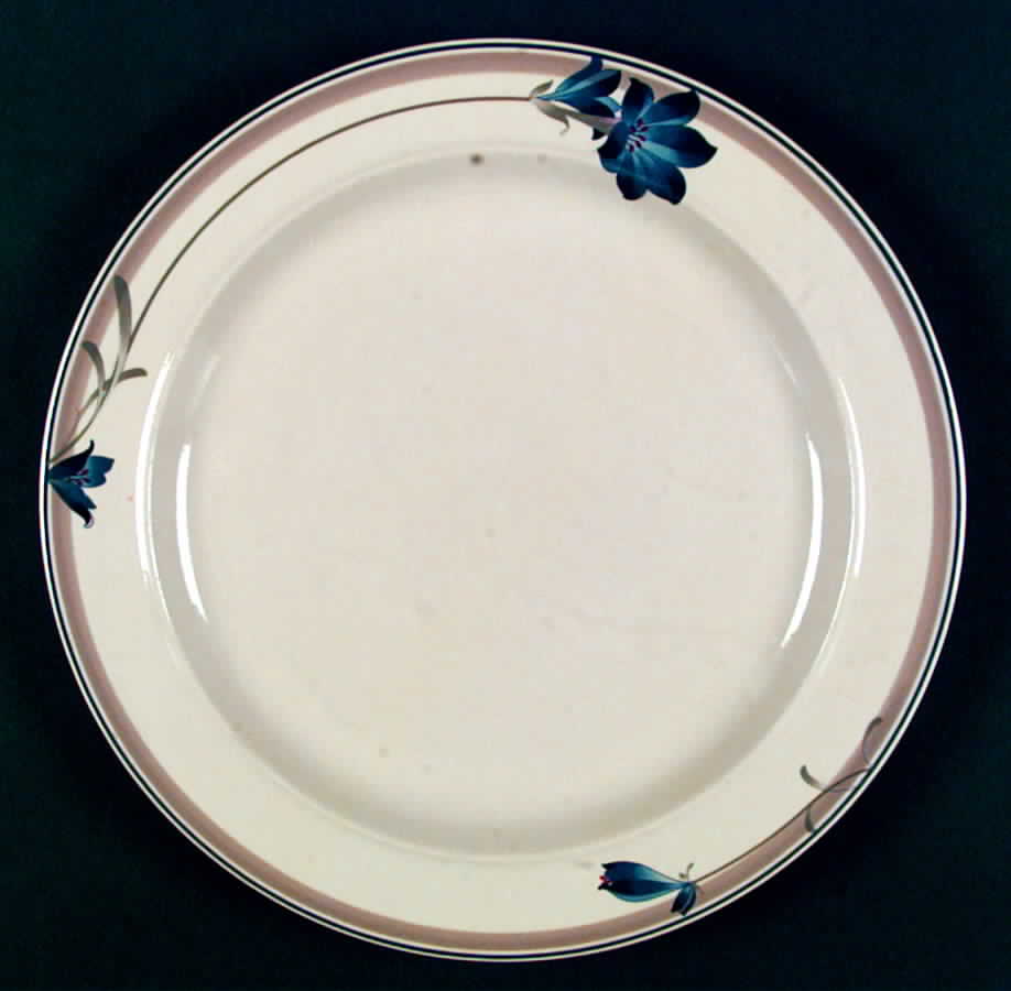 Capri Dinner Plate by Epoch-1
