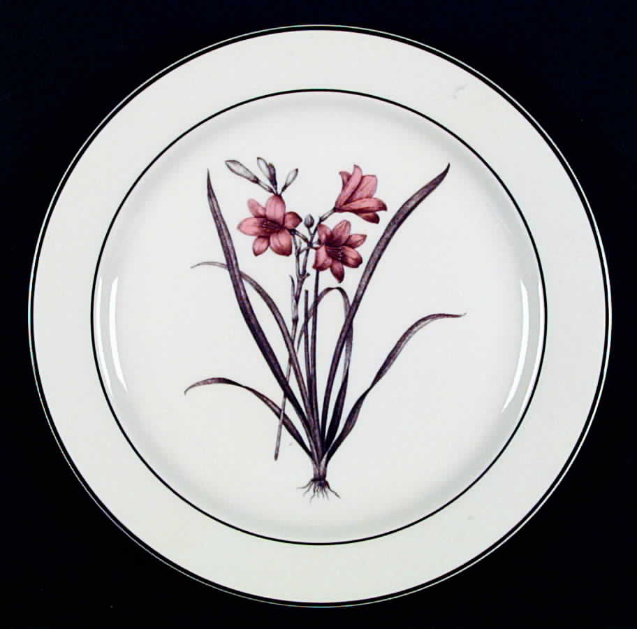 Delphi Dinner Plate by Epoch-1