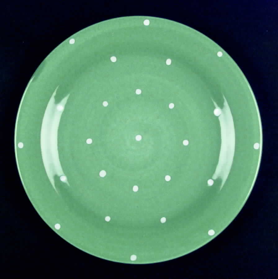Spinners Kiwi Dinner Plate by Epoch-1