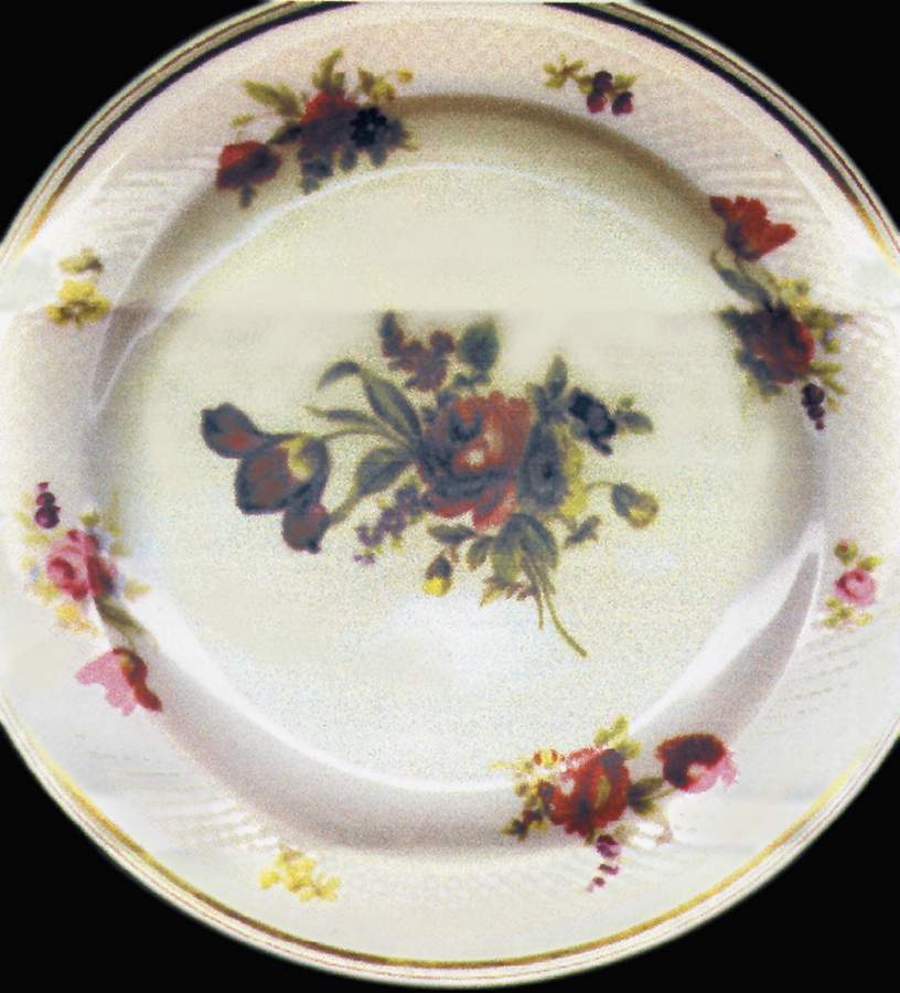 A140 Dinner Plate by Eschenbach-1