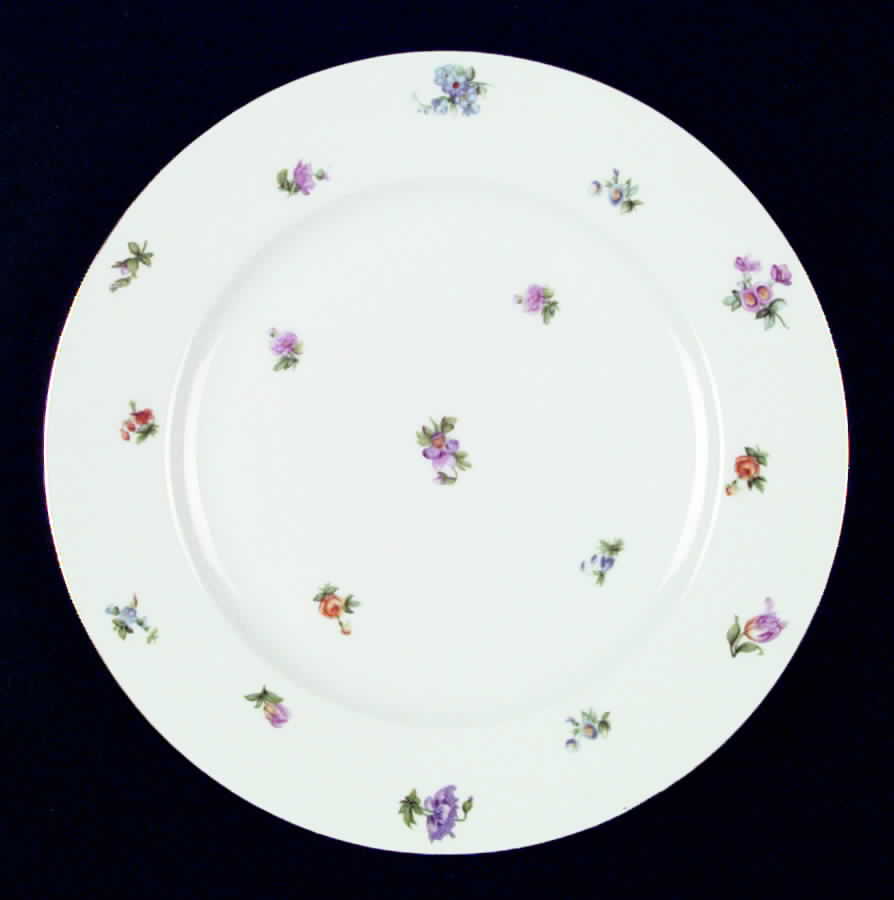 A2114 Dinner Plate by Eschenbach-1