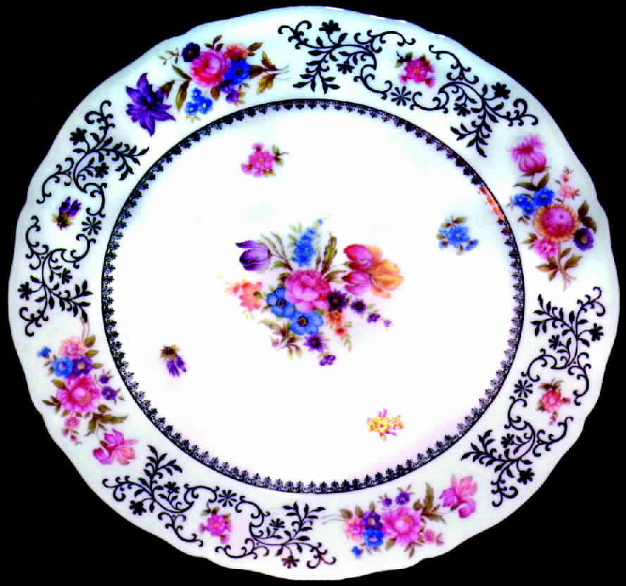 A549 Dinner Plate by Eschenbach-1