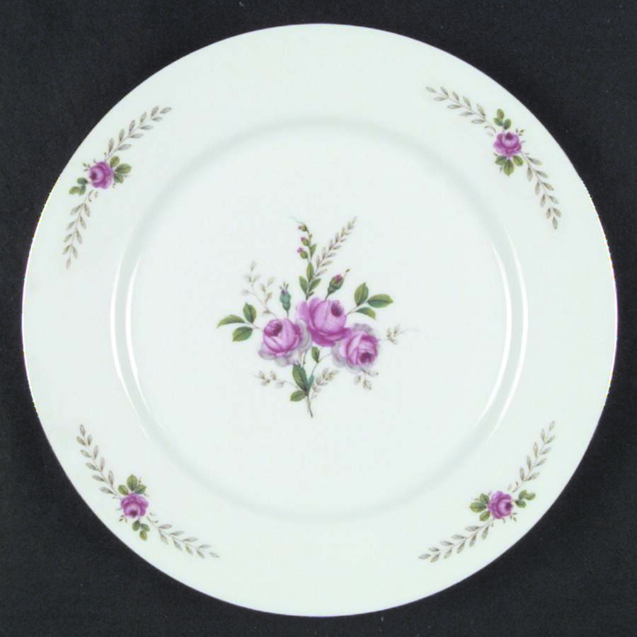 ESC15 Dinner Plate by Eschenbach-1
