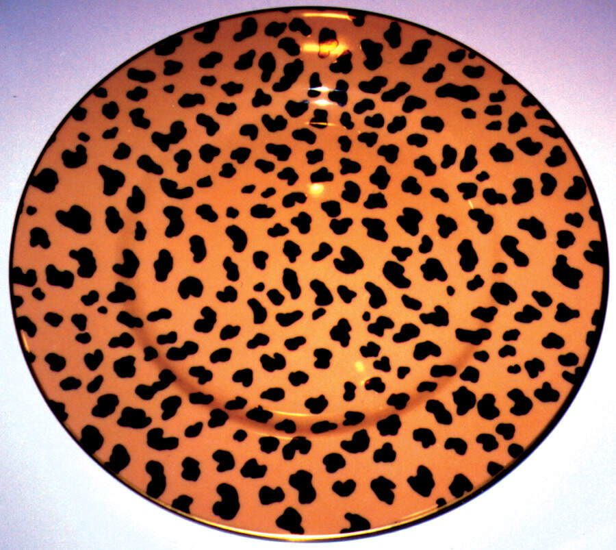 ESC17 Dinner Plate by Eschenbach-1