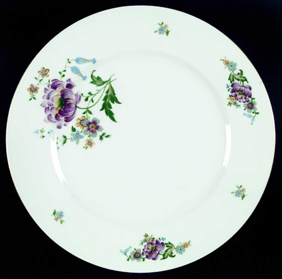 P592 Dinner Plate by Eschenbach-1