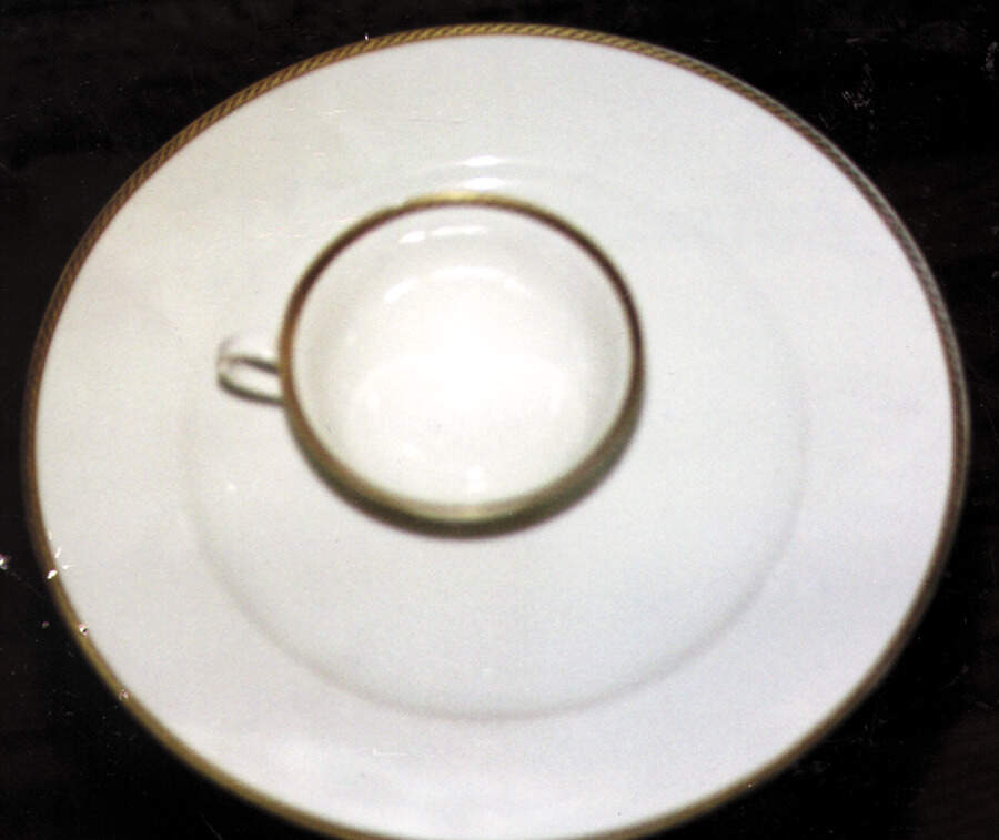 ESC24 Dinner Plate by Eschenbach-1