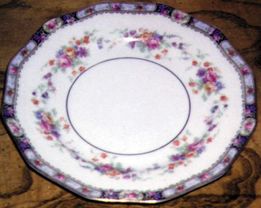 ESC25 Dinner Plate by Eschenbach-1