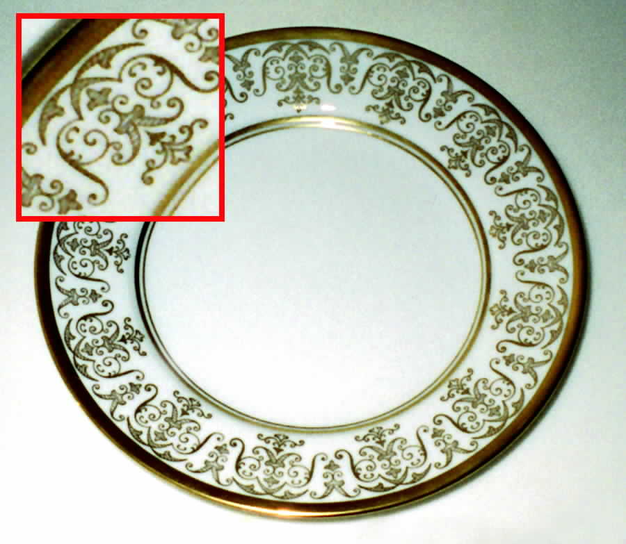 ESC30 Dinner Plate by Eschenbach-1