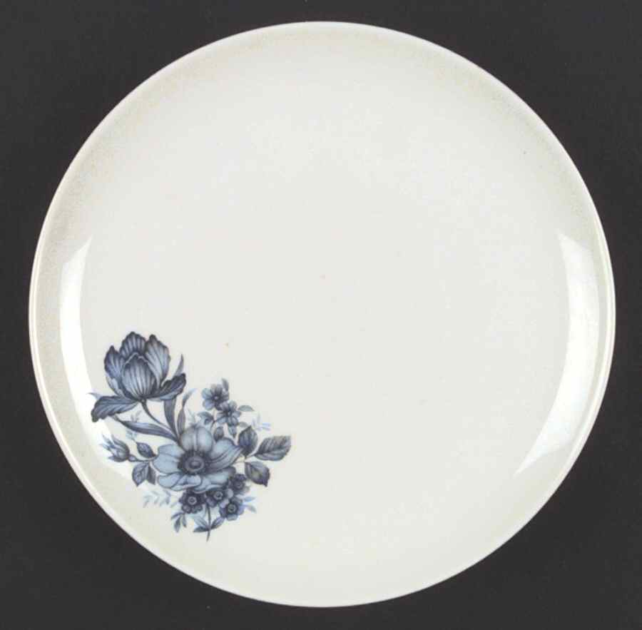 ESC36 Dinner Plate by Eschenbach-1