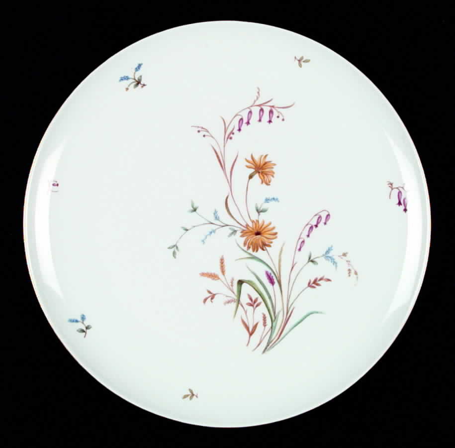 F242 Dinner Plate by Eschenbach-1