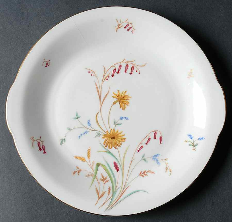 F242 Handled Cake Plate by Eschenbach-1