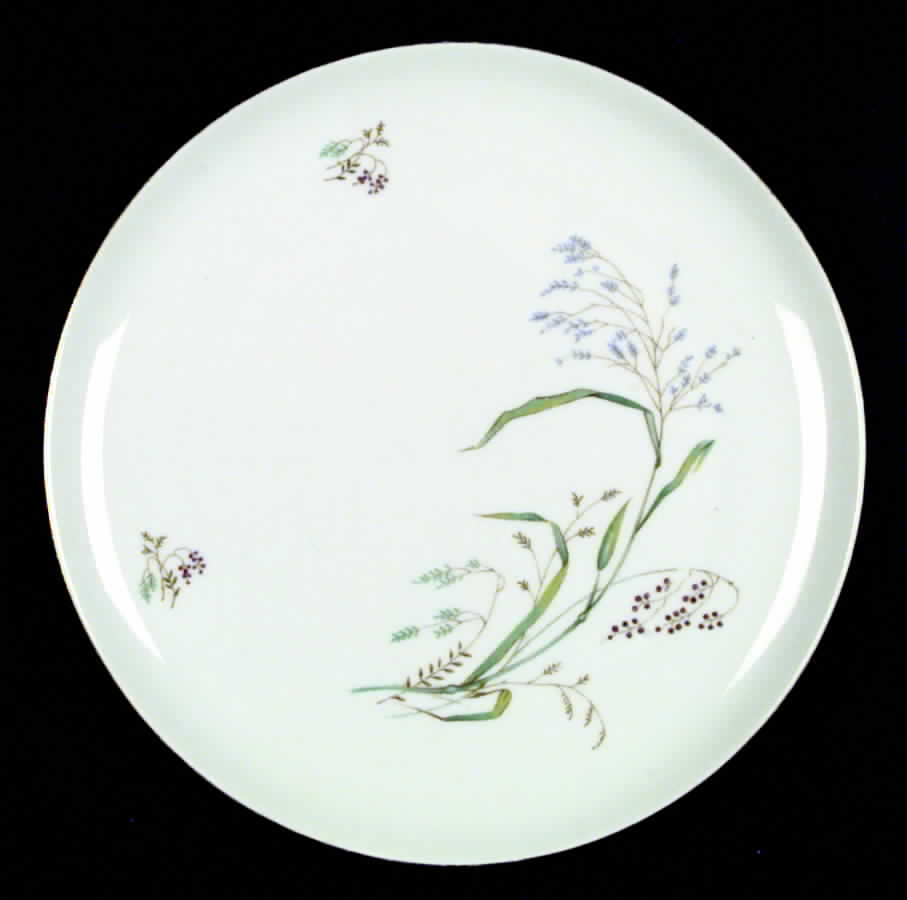F243 Dinner Plate by Eschenbach-1