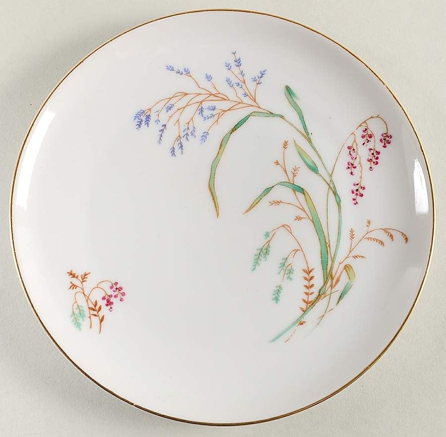 F243 Bread & Butter Plate by Eschenbach-1
