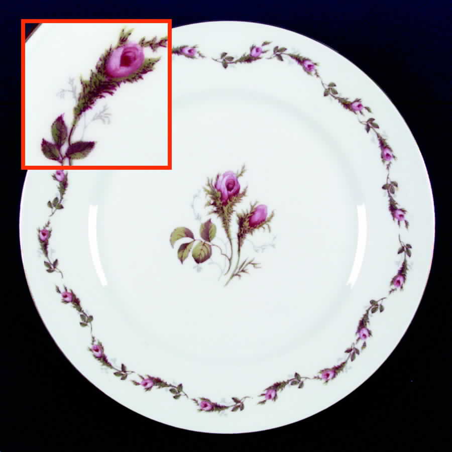 P485 (Smooth) Dinner Plate by Eschenbach-1