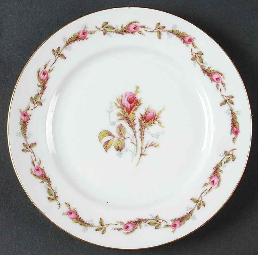P485 (Smooth) Bread & Butter Plate by Eschenbach-1