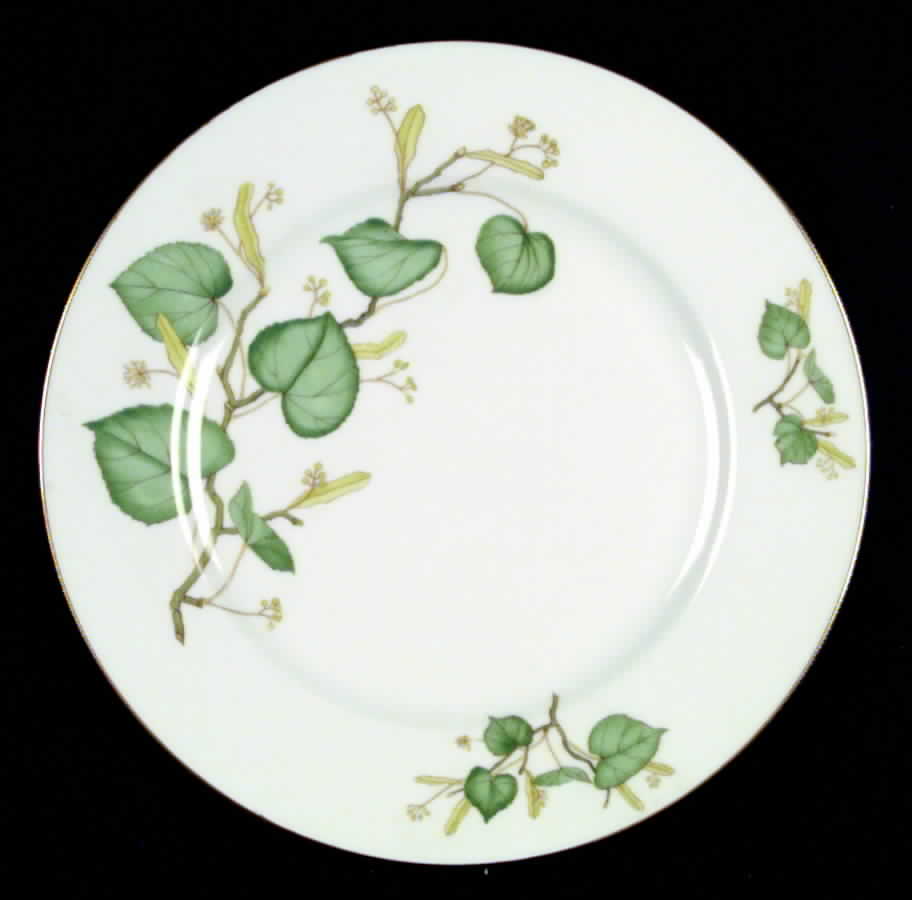 P488 (Rim) Dinner Plate by Eschenbach-1