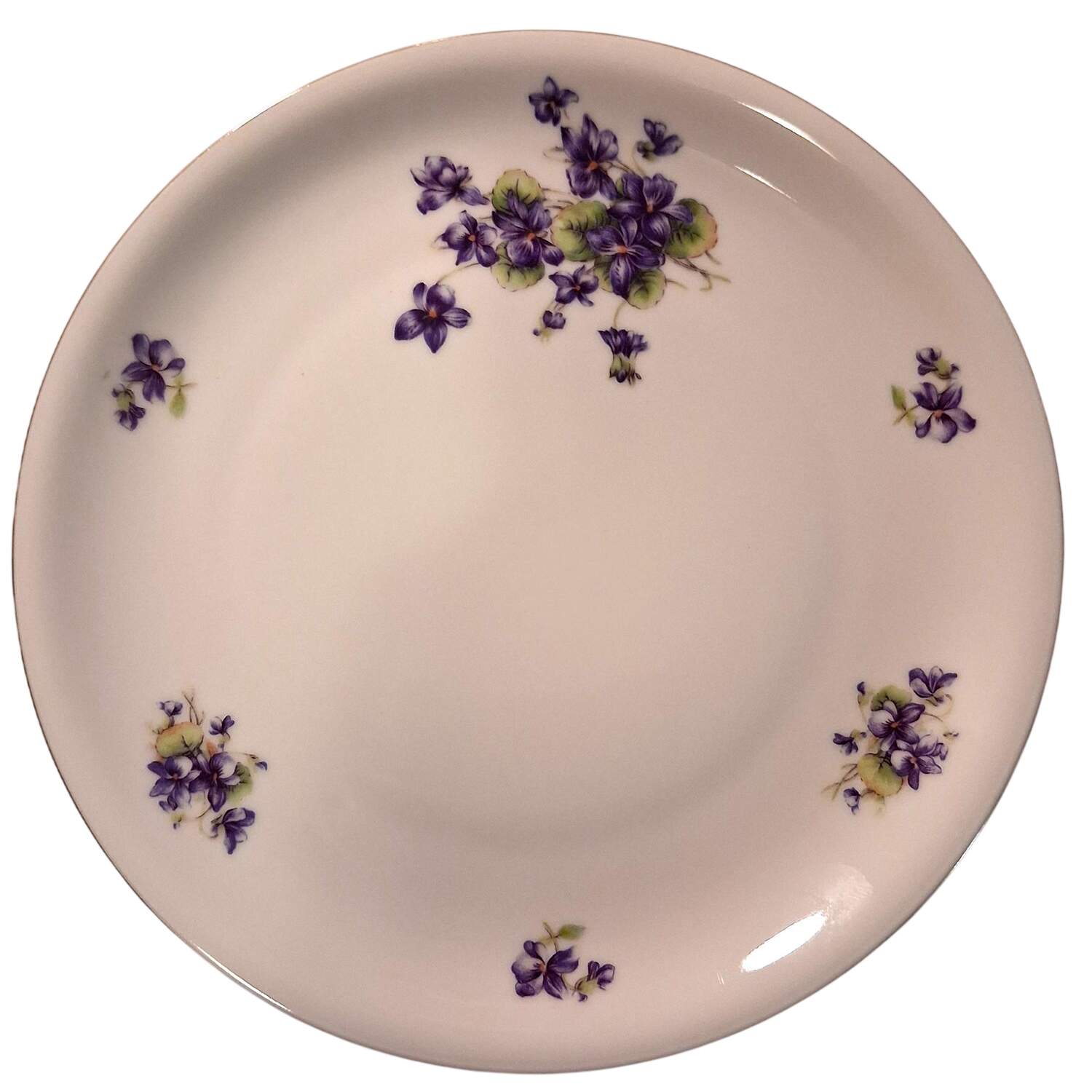 P589 Coupe Salad Plate by Eschenbach-1