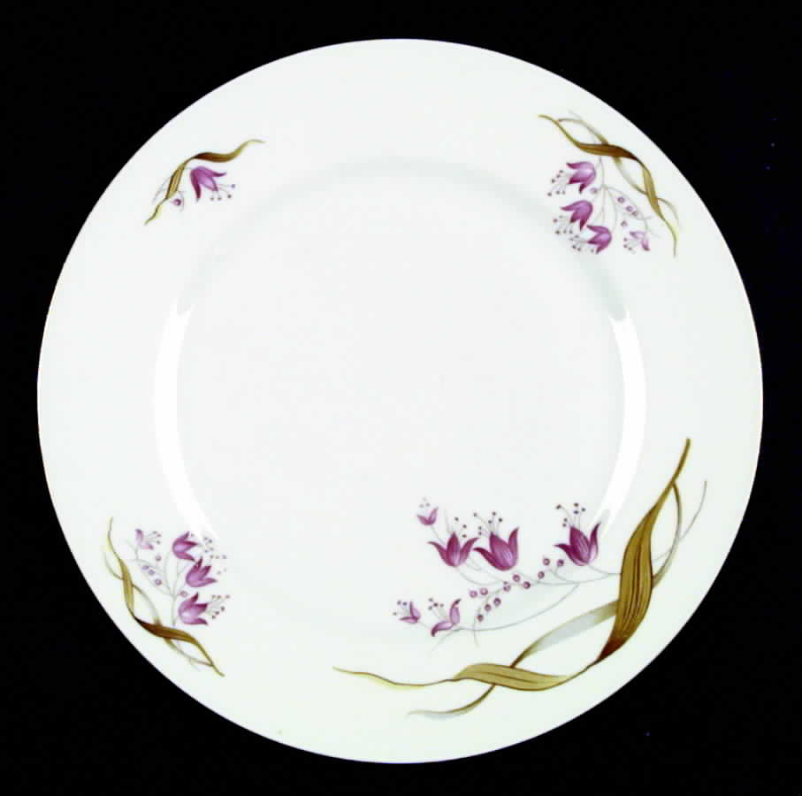 P862 (Rim) Dinner Plate by Eschenbach-1