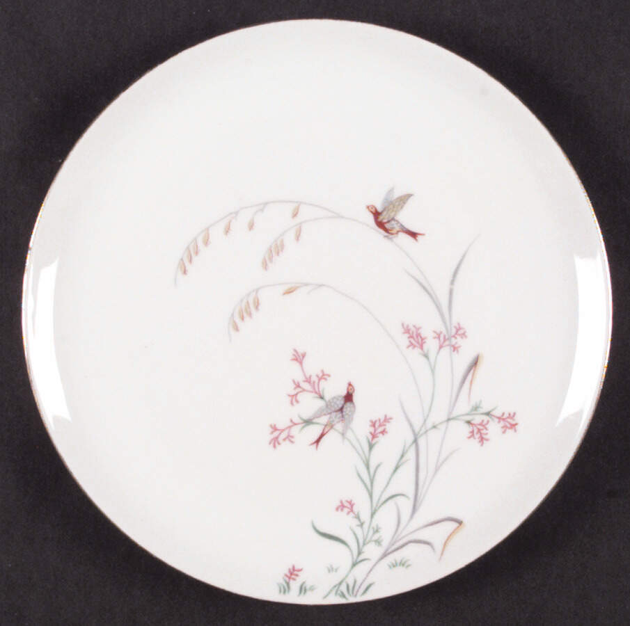 W1460 Dinner Plate by Eschenbach-1