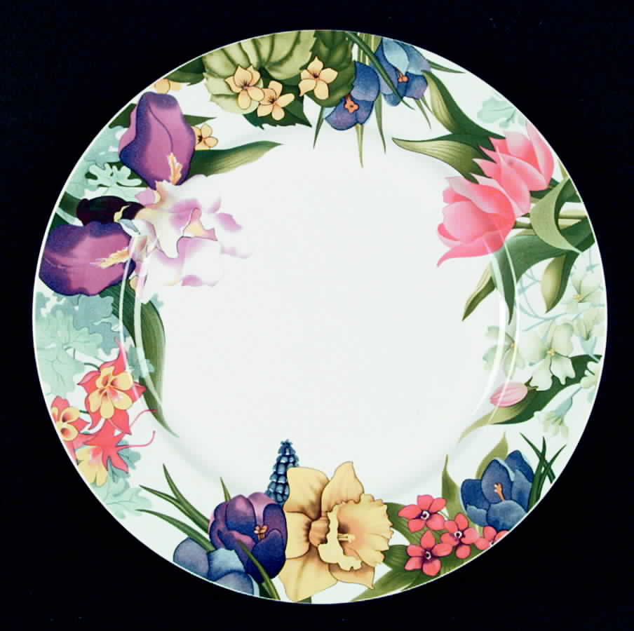 Spring Garden Dinner Plate by Essex (Enviro-Safe)-1