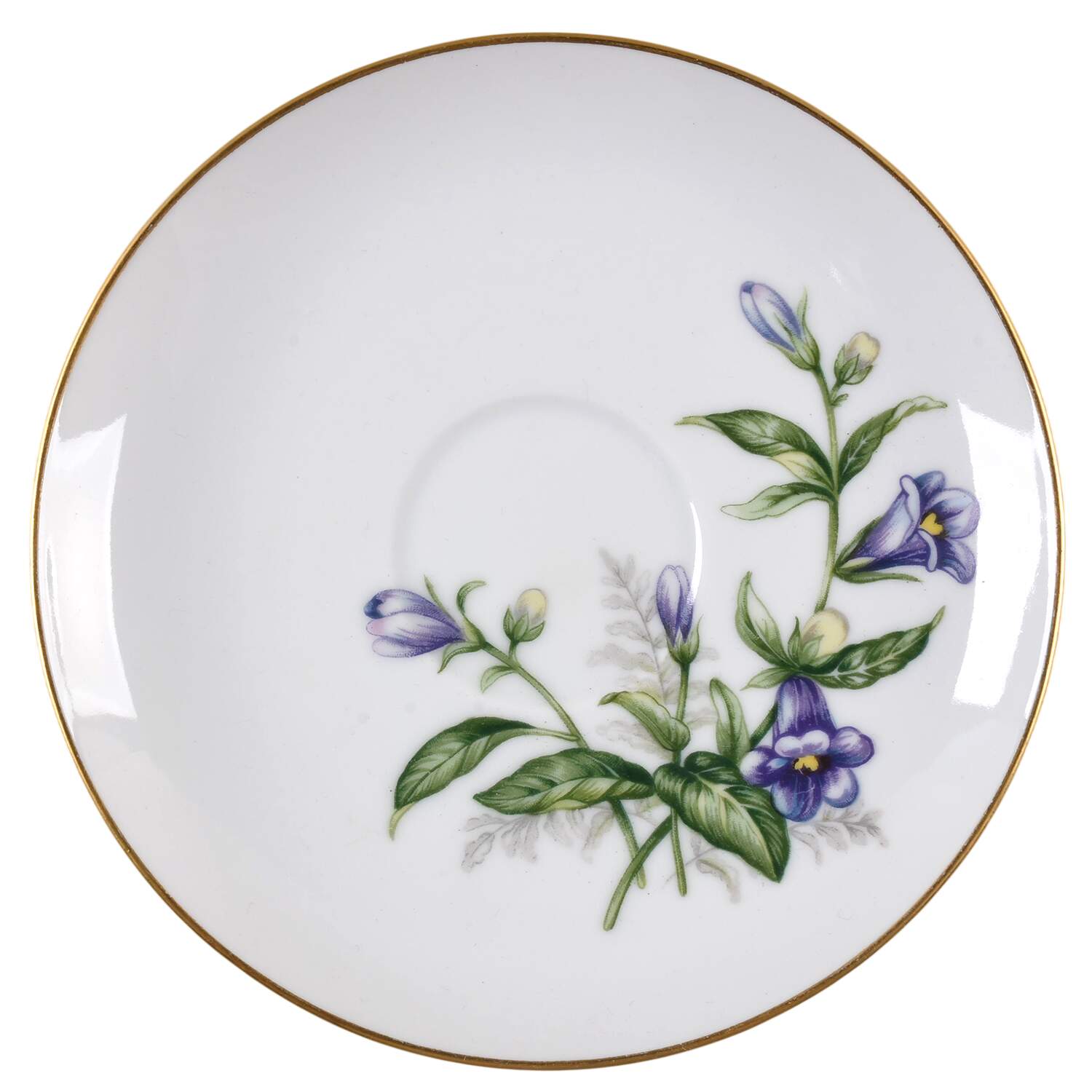 Bluebells Saucer by Eterna-1