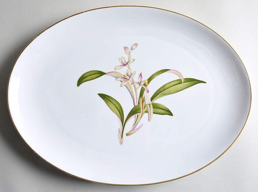 Lillian 15" Oval Serving Platter by Eterna-1