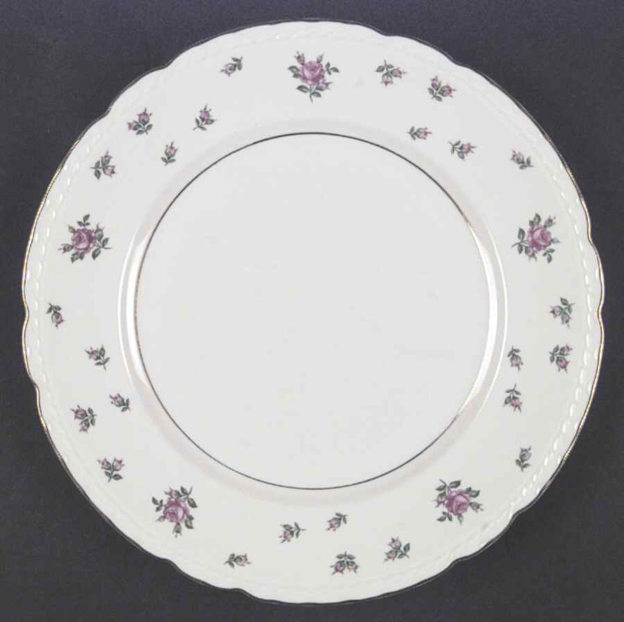 EXC2 Dinner Plate by Exclusive-1