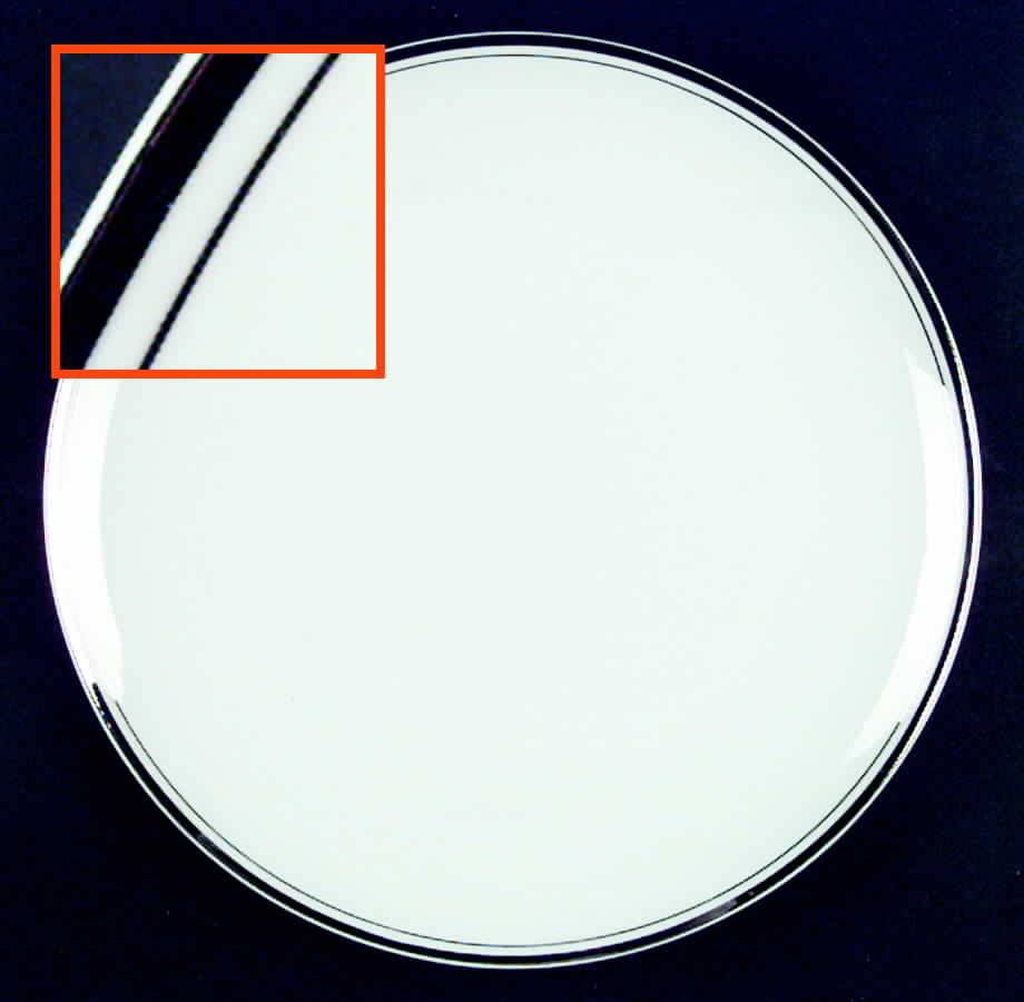 Sophisticate Dinner Plate by Executive House-1