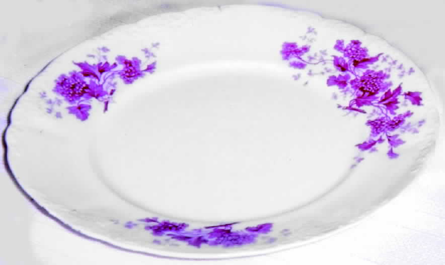EXS1 Dinner Plate by Excelsior-1