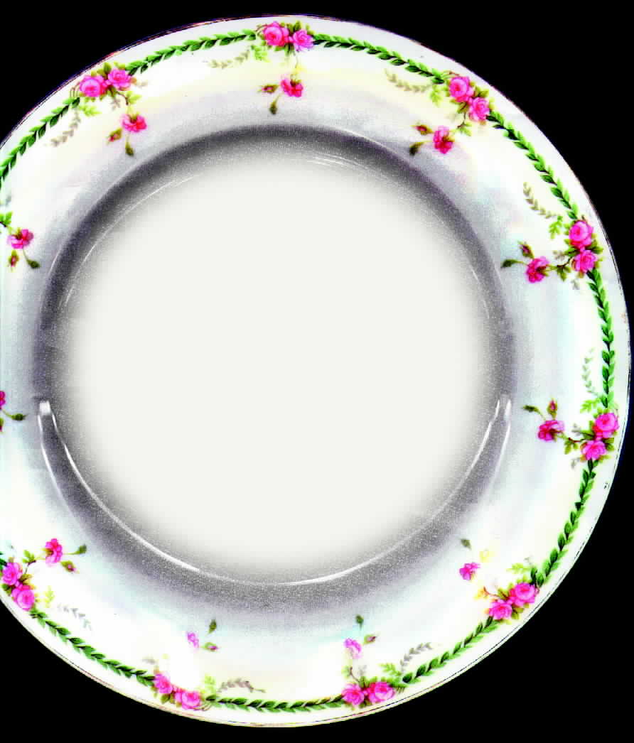 EMA2 Dinner Plate by Empire (Austria)-1