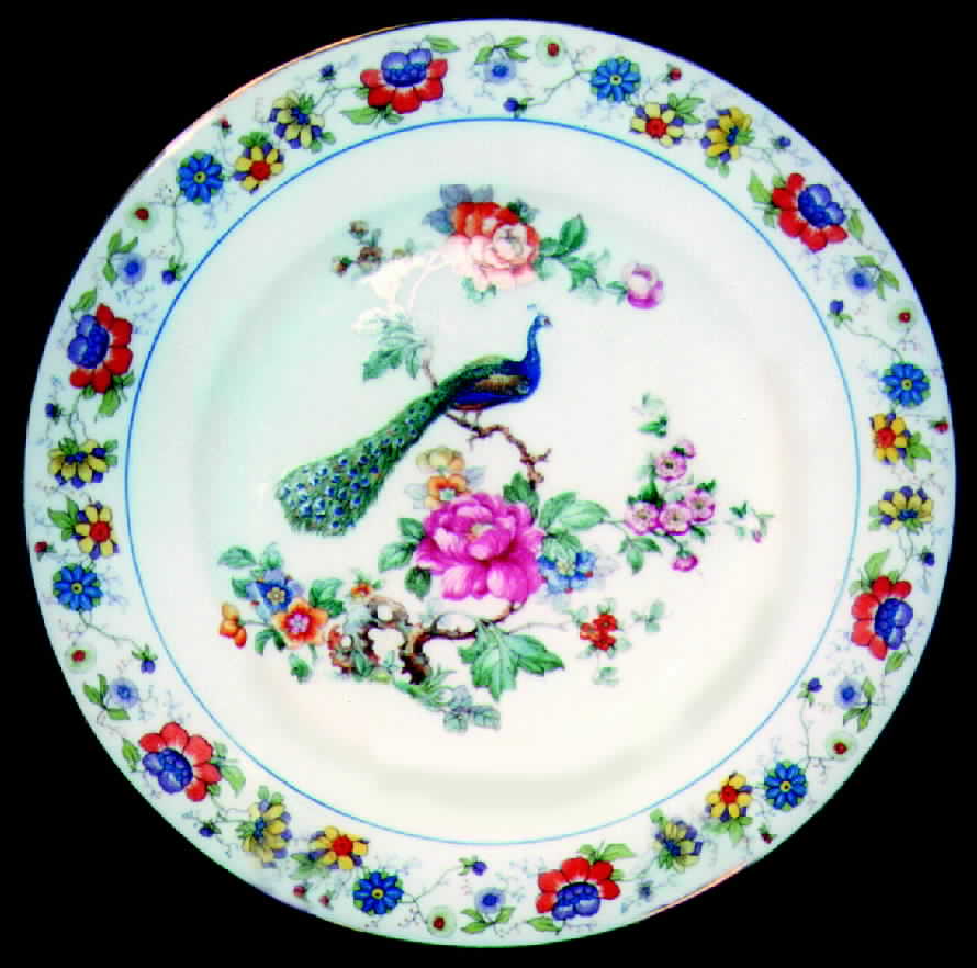 EPI85 Dinner Plate by Epiag-1