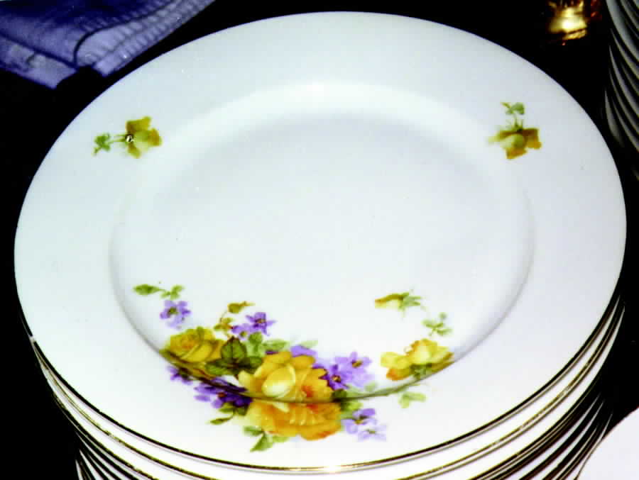 EAM13 Dinner Plate by E & A Muller-1