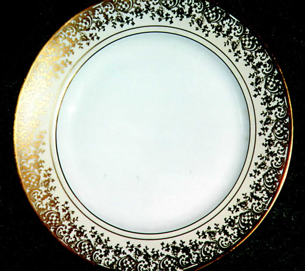 EAM14 Dinner Plate by E & A Muller-1