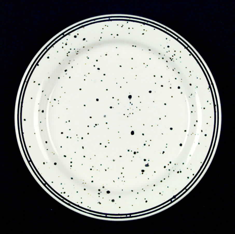 EIT11 Salad Plate by English Ironstone Tableware-1