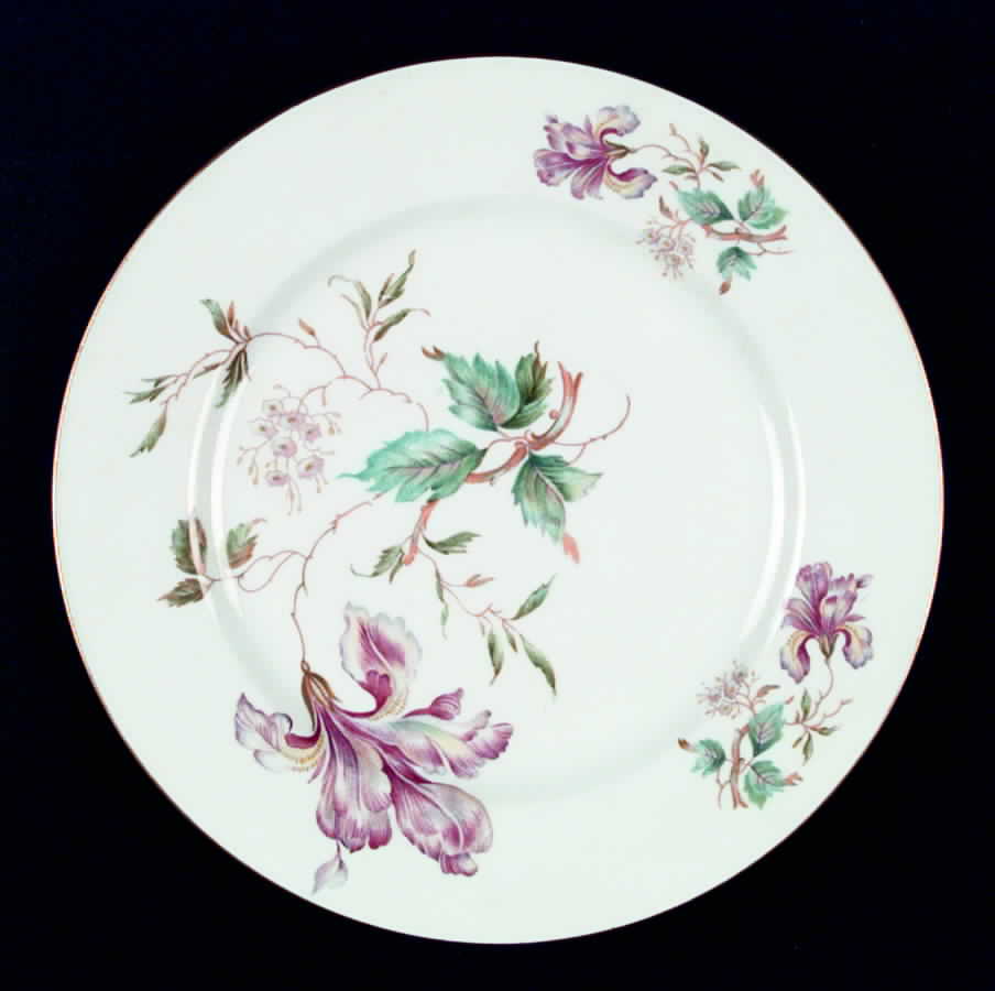 P595 Dinner Plate by Eschenbach-1