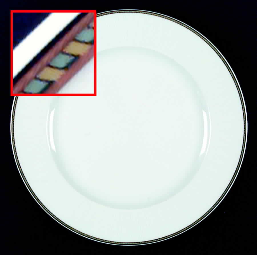ESC47 Service Plate (Charger) by Eschenbach-1