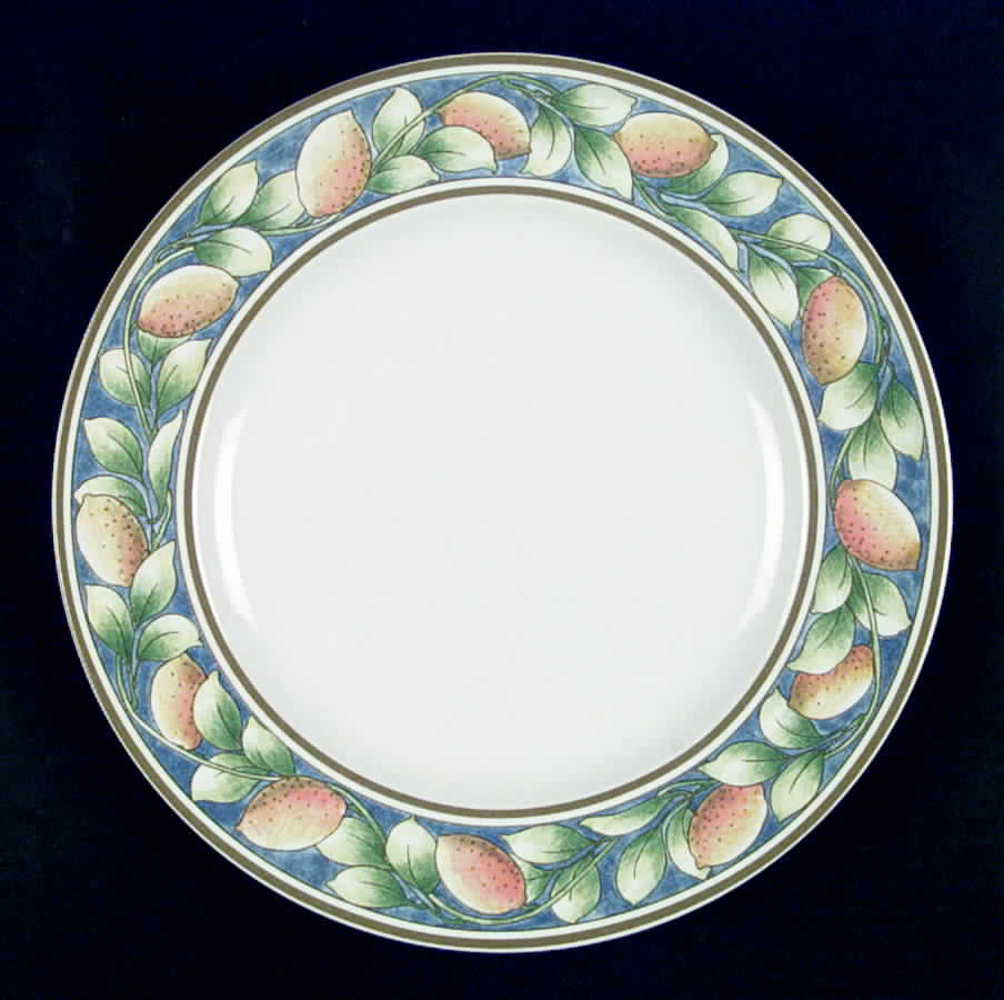 Citrus Dinner Plate by Epoch-1