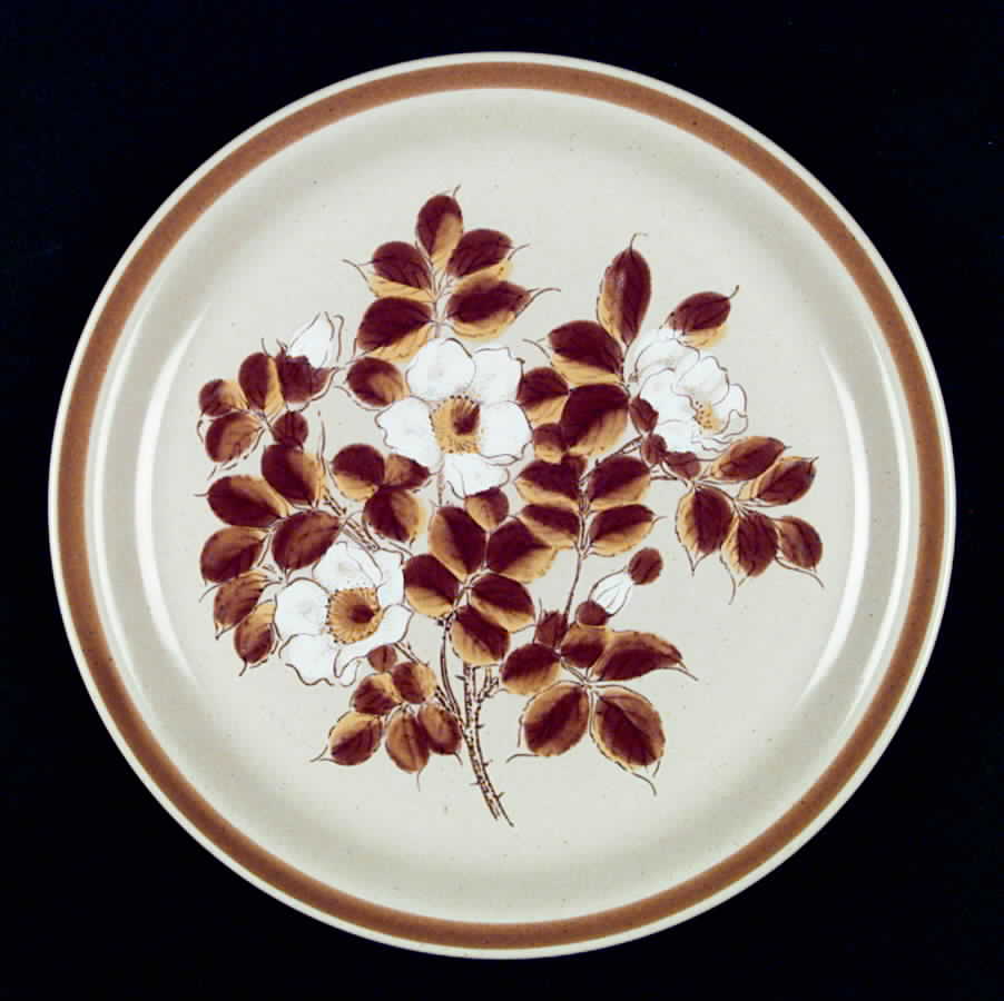 Autumn Meadow Dinner Plate by Ekco-1