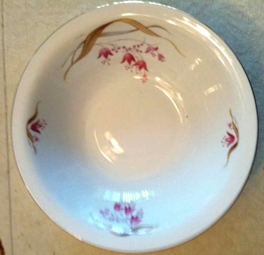 P862 (Coupe) Fruit/Dessert (Sauce) Bowl by Eschenbach-1