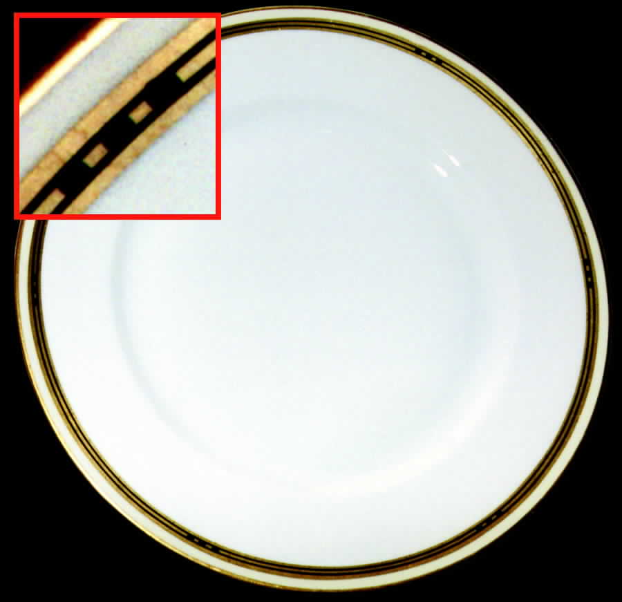 EPI100 Dinner Plate by Epiag-1