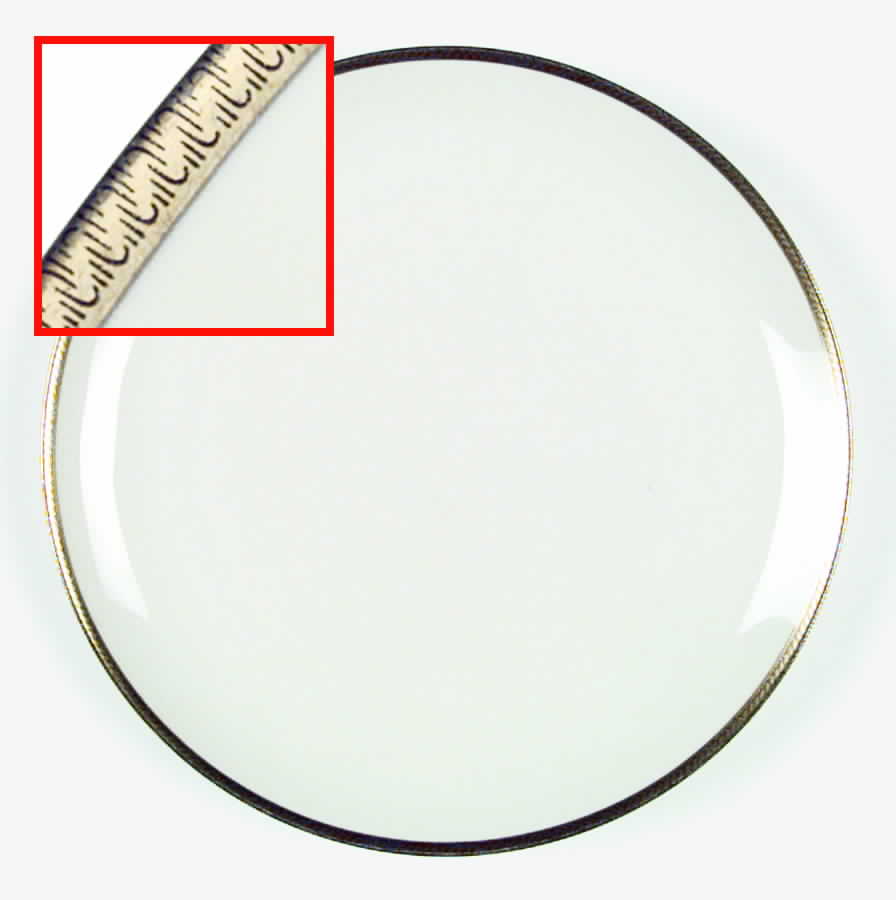 ESC52 Dinner Plate by Eschenbach-1