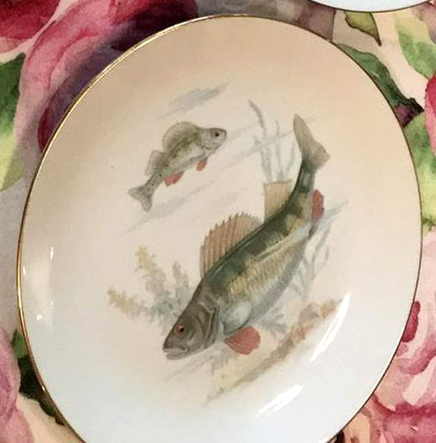 EPI103 Salad Plate by Epiag-1