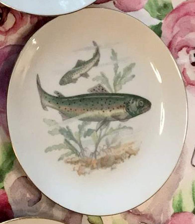 EPI103 Salad Plate by Epiag-1