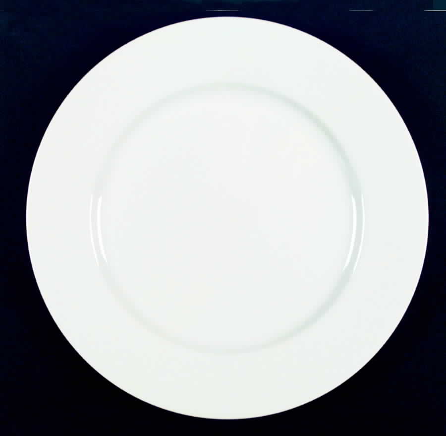 ESX1 Service Plate (Charger) by Essex (Enviro-Safe)-1