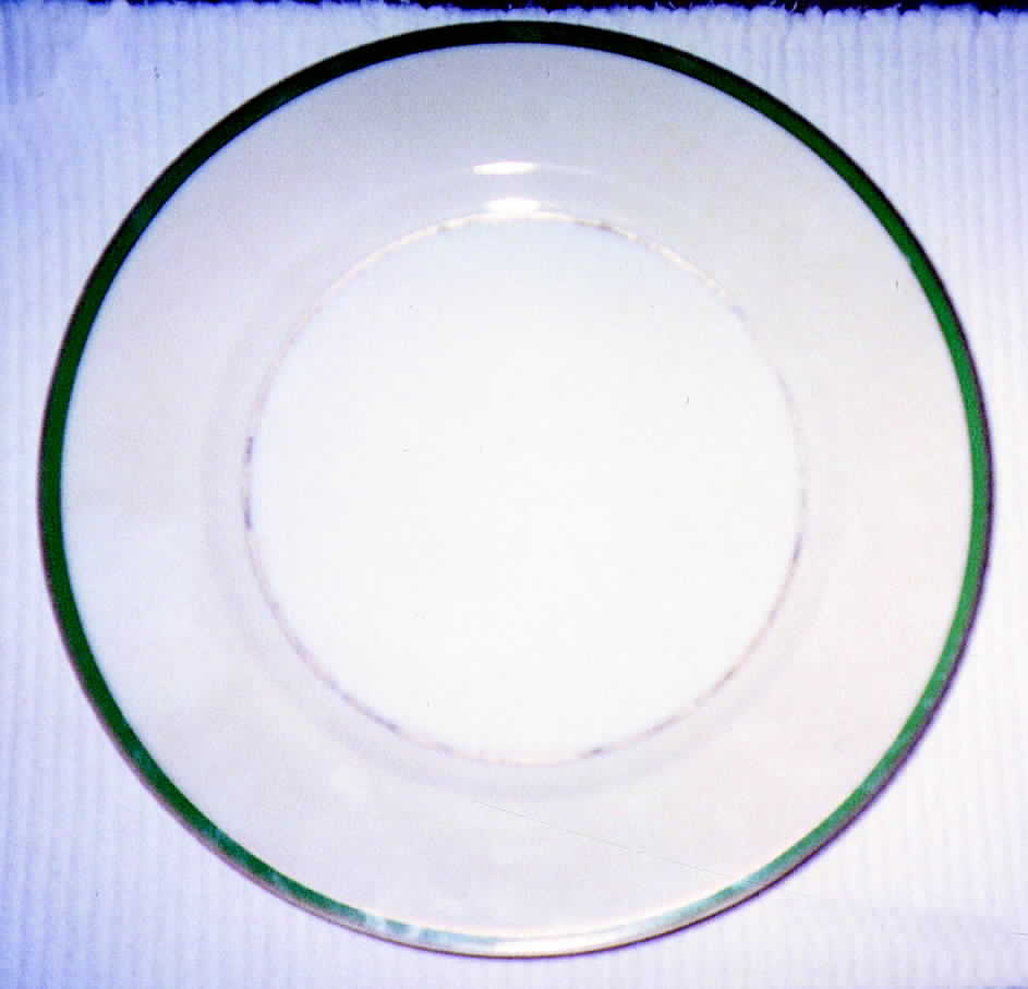 ESC54 Dinner Plate by Eschenbach-1