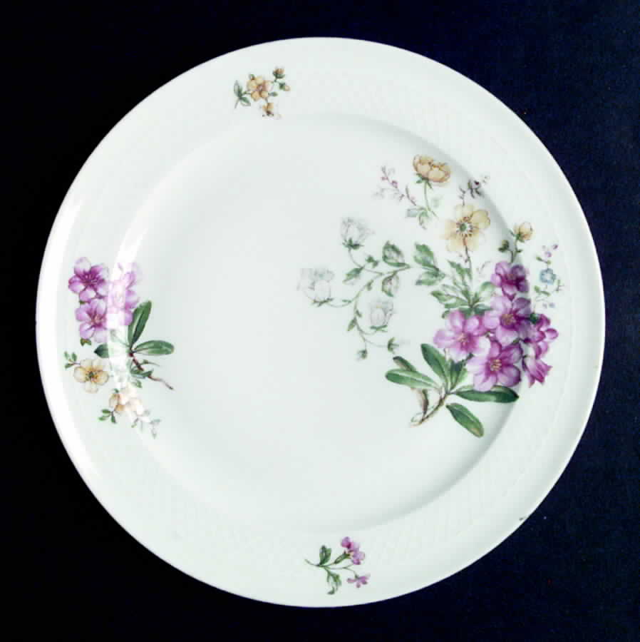 ESC55 Salad Plate by Eschenbach-1