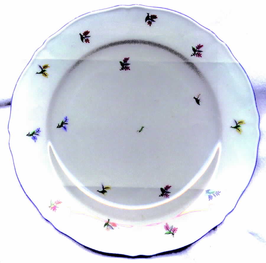ESC56 Dinner Plate by Eschenbach-1