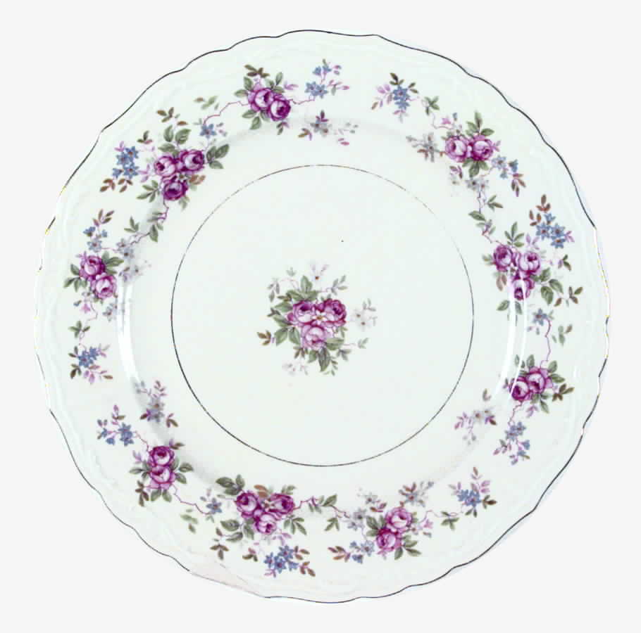 ESC57 Dinner Plate by Eschenbach-1